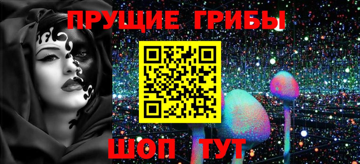 купить наркотики сайты  Вход с VPN  Оренбург  Псилоцибиновые грибы Psilocybine cubensis 