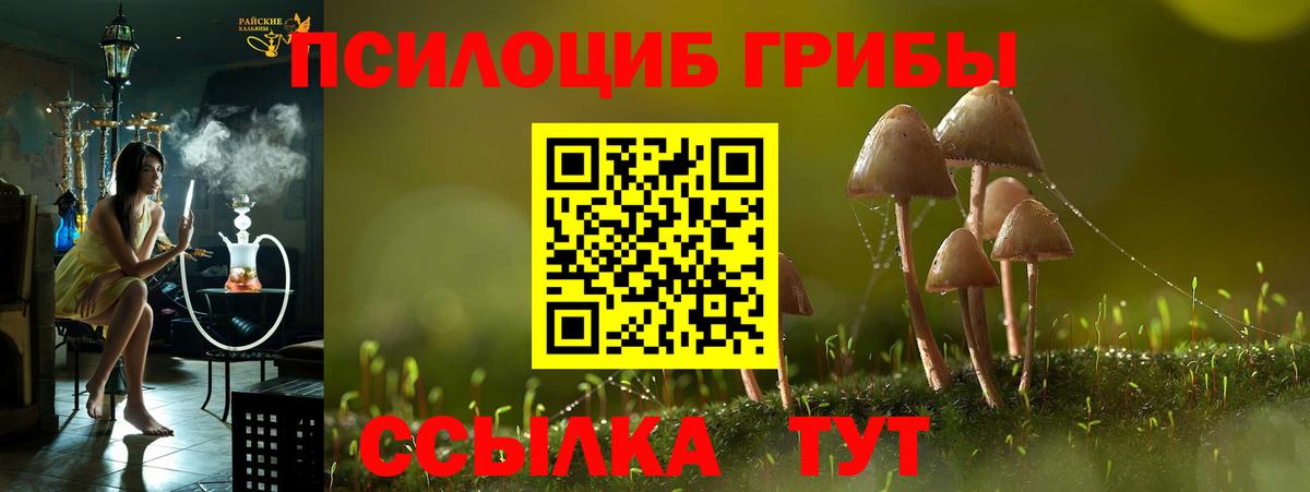 Галлюциногенные грибы Psilocybine cubensis Оренбург